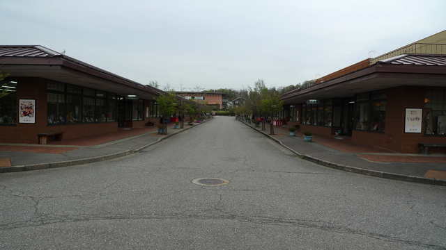 P1020555.JPG